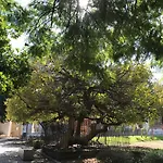 Completo Regina Apartamento