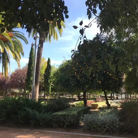 Apartment Completo Regina