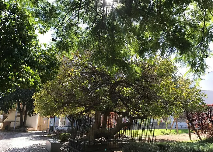 Completo Regina דירה