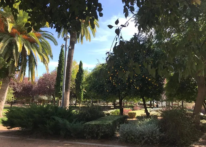 דירה Completo Regina