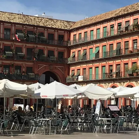 Completo Regina Διαμέρισμα *