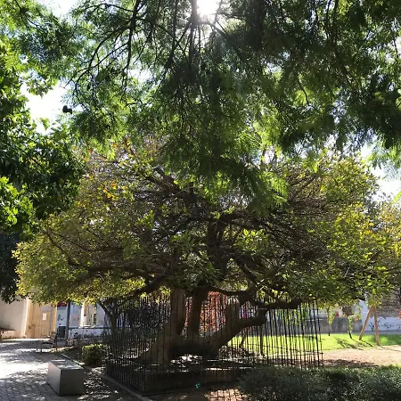 Completo Regina 公寓